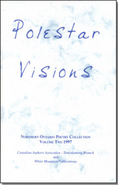 Polestar Visions